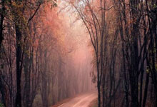 黑白体育：林火肆虐后NBA重返洛城赛场 快艇湖人一胜一负.