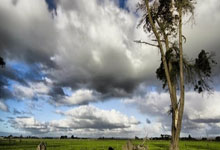 为西藏地震灾区捐款的三位体育明星点赞.