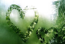 游泳世界杯新加坡站 张正伟男子100米蝶泳夺铜.