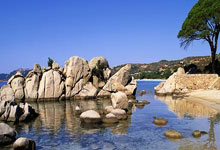 为西藏地震灾区捐款的三位体育明星点赞.